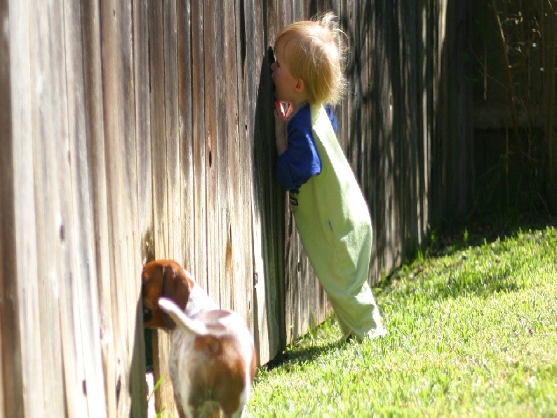 不孕怎样做试管,中信试管多次失败